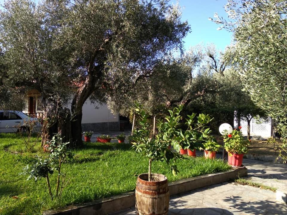 Villa Asimidou Agia Paraskevi  Exteriér fotografie