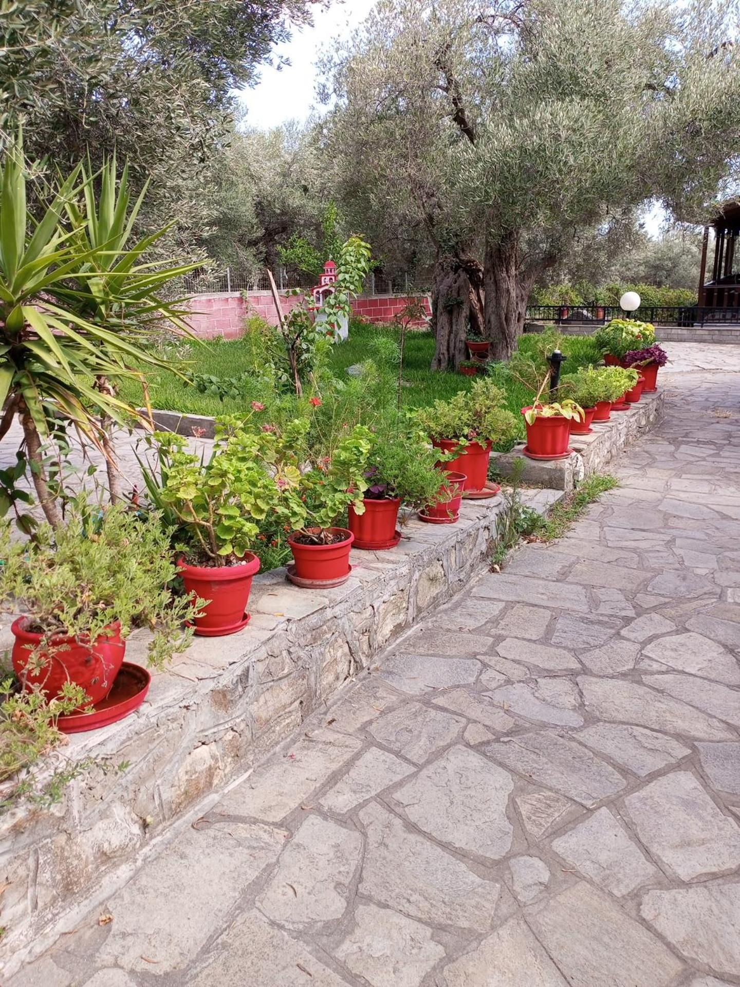 Villa Asimidou Agia Paraskevi  Exteriér fotografie