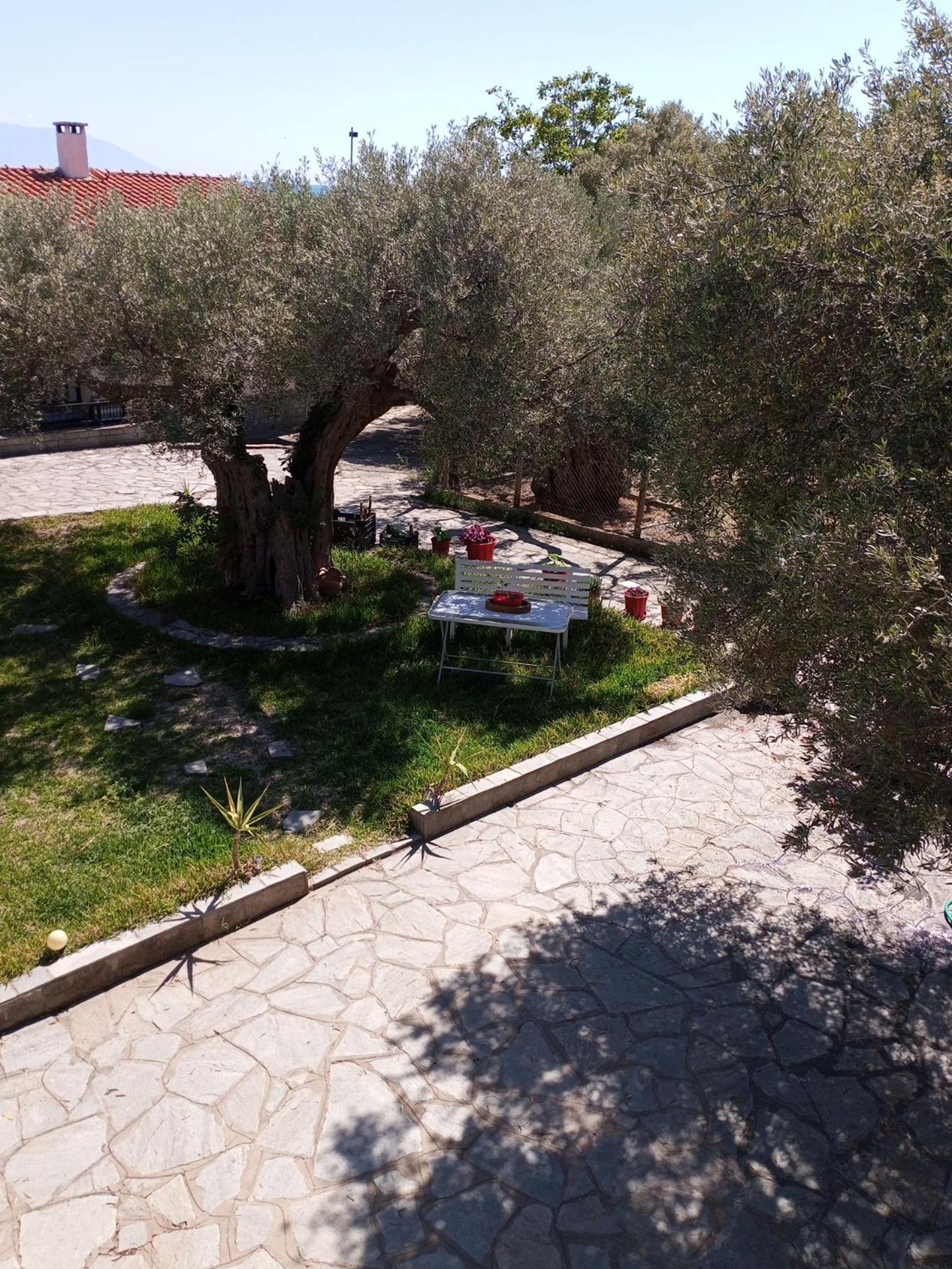 Villa Asimidou Agia Paraskevi  Exteriér fotografie